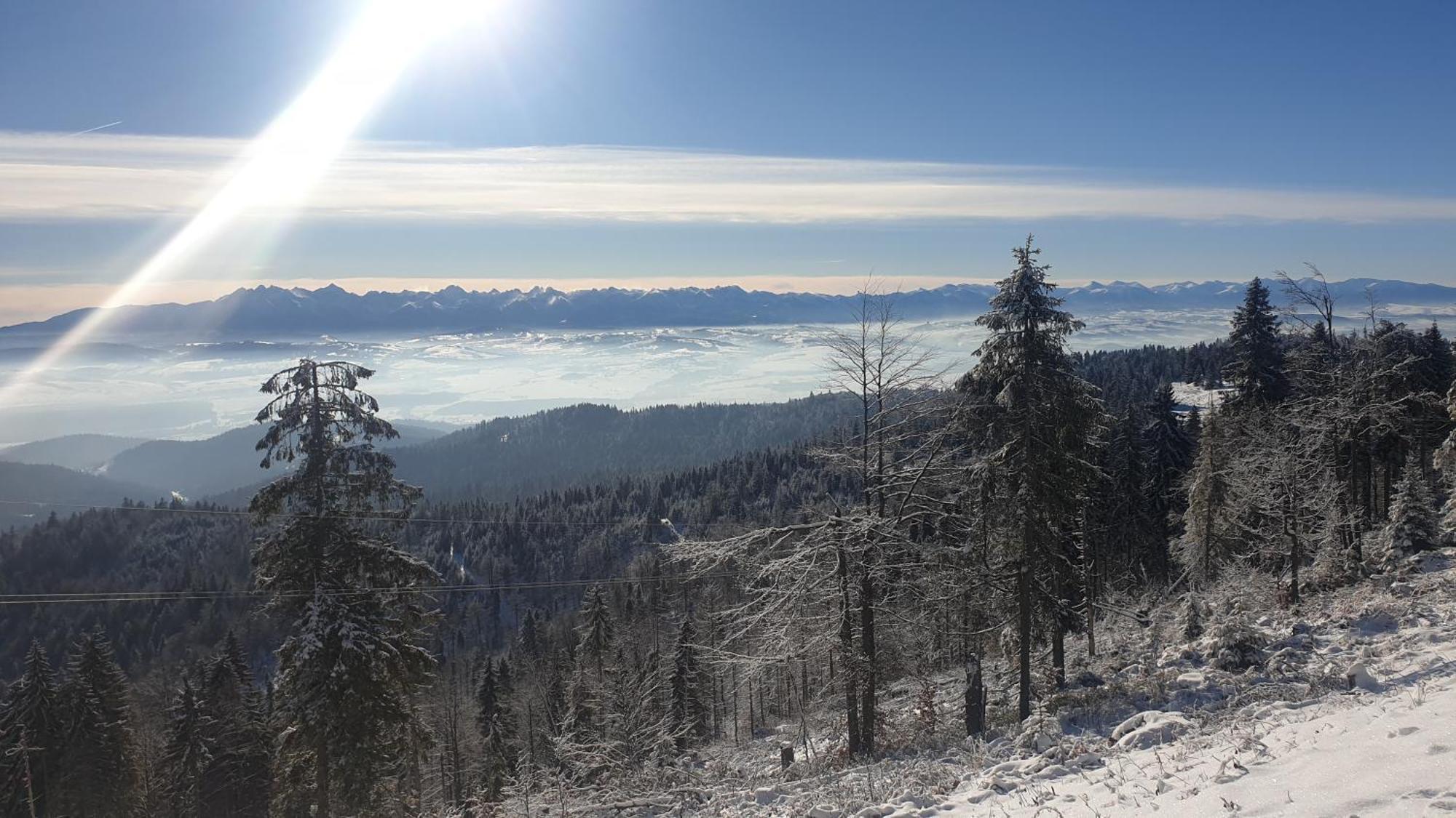 Chatka Gazdzinek Czarna Góra Dış mekan fotoğraf
